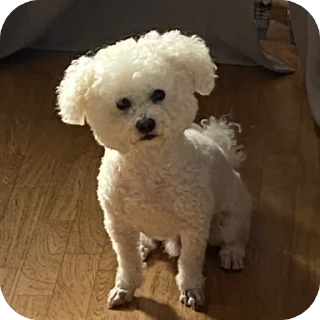 Стикер Тимка - 2