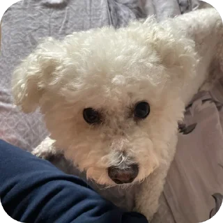 Стикер Тимка - 5