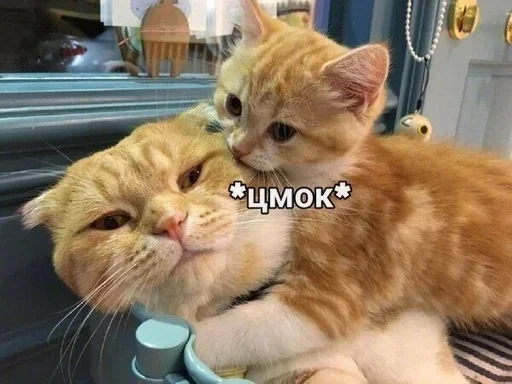 Стикер Timanynki :: @fStikBot - 5