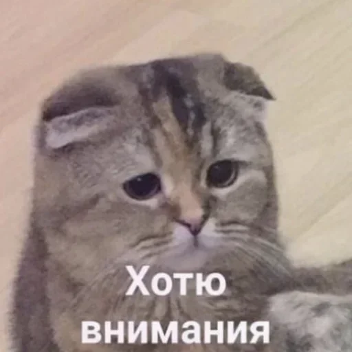 Стикер Timanynki :: @fStikBot - 1