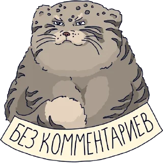 Стикер Манул Тимофей от @mnews_ru - 2