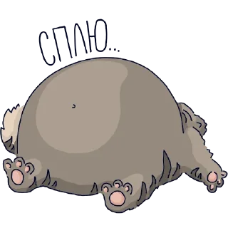 Стикер Манул Тимофей от @mnews_ru - 4