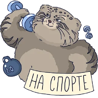 Стикер Манул Тимофей от @mnews_ru - 8