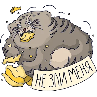 Стикер Манул Тимофей от @mnews_ru - 7