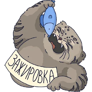 Стикер Манул Тимофей от @mnews_ru - 3