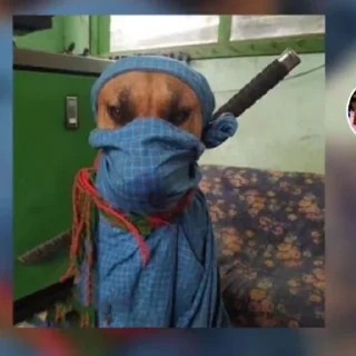 Стикер Тимур • @DayStikBot - 10