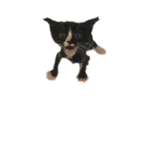 Sticker TimurkaGenijBezNi - 1