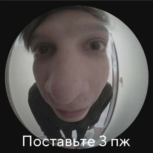 Тимик как смысл жизни - 