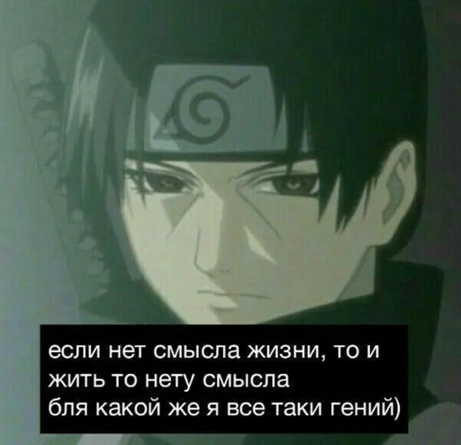 мяу :: @fStikBot - 