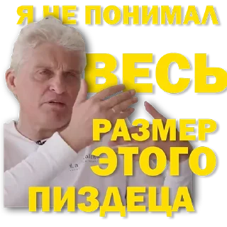 Sticker Тиньков / @tophardworker - 7