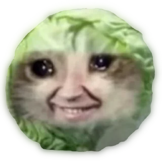 Sticker Жучини - 5