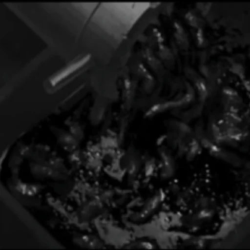 Sticker TinnyBunnyTresh4Sezona - 1