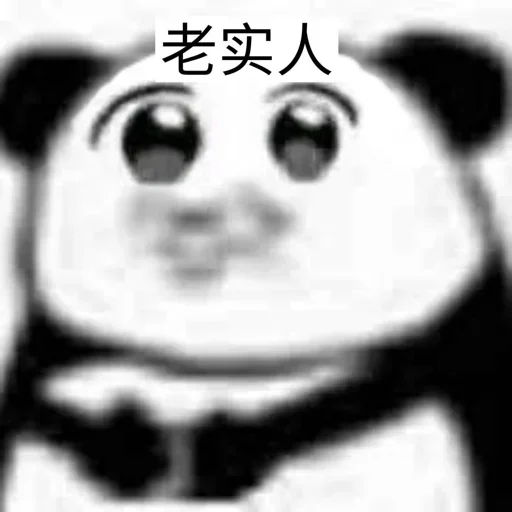 猫四的表情包 - 