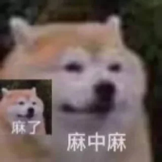 Стикер 猫四的表情包 - 7