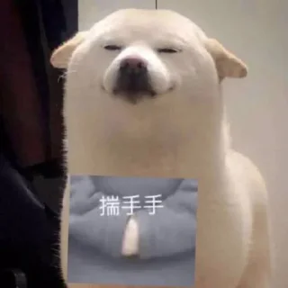 Стикер 猫四的表情包 - 3