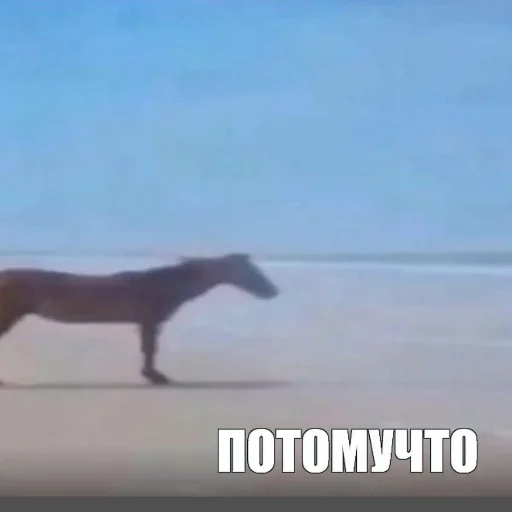 Стикер тип отбитый - 9