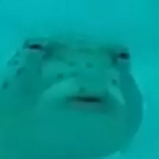 Стикер тип отбитый - 3