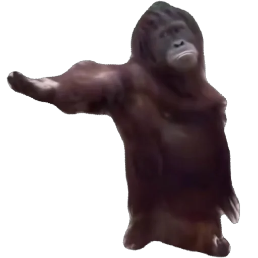 tisha stikers’🤗 - 