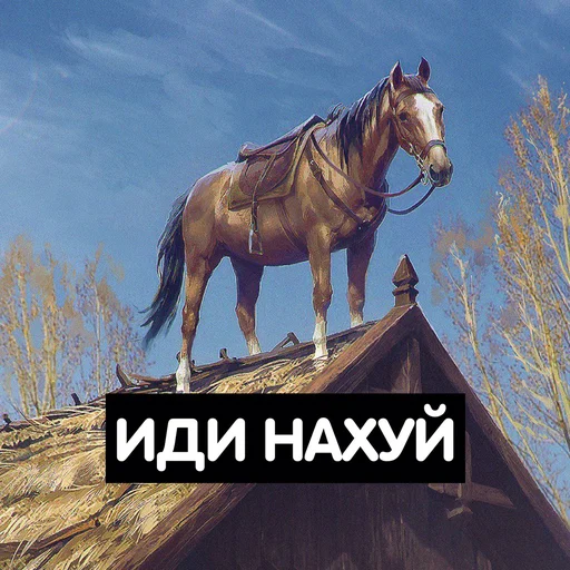 небо животное на открытом воздухе