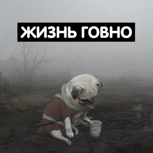 животное собака туман