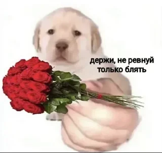 Sticker @stickeri_tg 💋<-- стикеры тут - 4