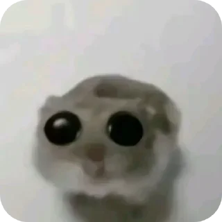 Sticker Тоби гей - 6