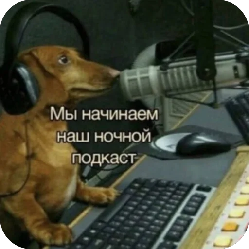 Sticker Tochka804 - 1