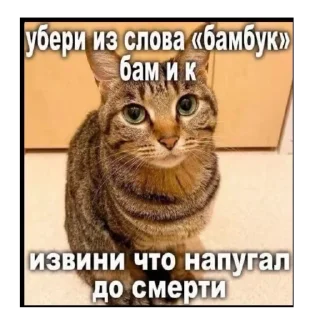 Sticker Точка. - 1