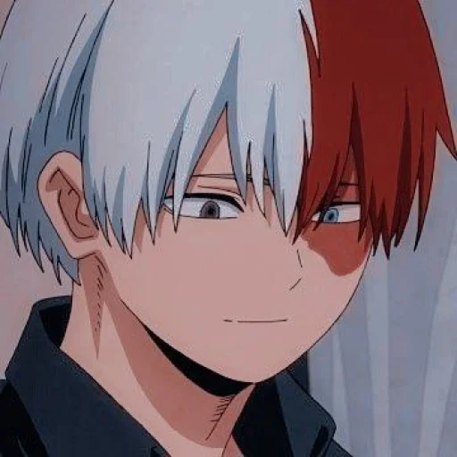 Sticker Todoroki @Sticker_anime_boy - 9