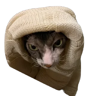 Sticker Тофа - 7