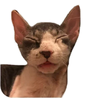 Sticker Тофа - 9