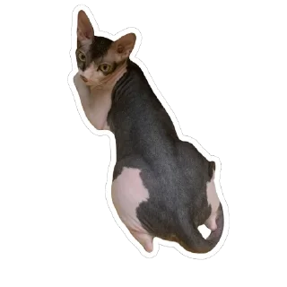 Sticker Тофа - 6