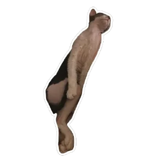 Sticker Тофа - 4