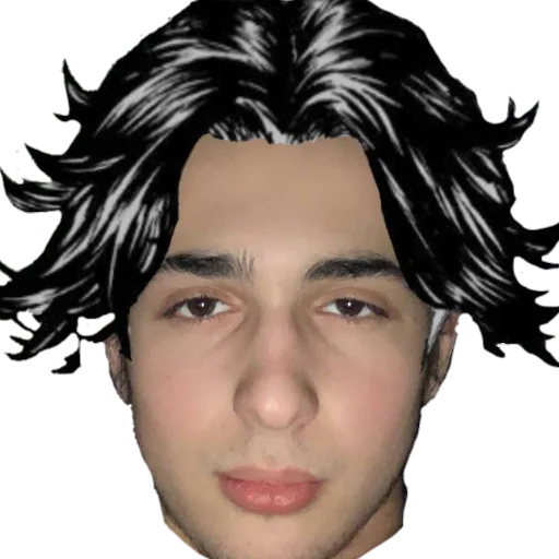 человеческое лицо Человек шиньон