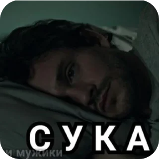 Sticker только лкторы - 5