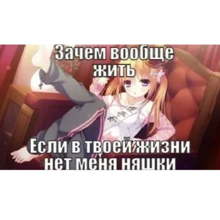 Стикер Kutyy Tollikll - 3