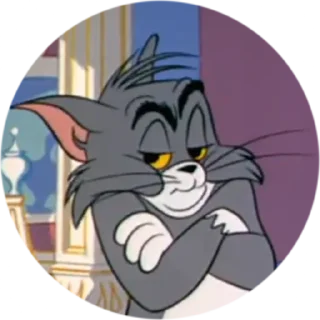 Стикер Tom&Jerry pbNie - 5