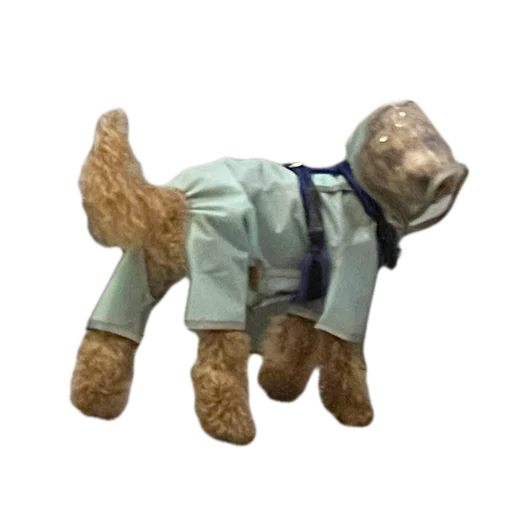 Tomasssy - dog breed