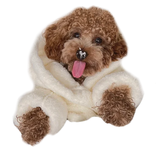 teddy dog stuffed