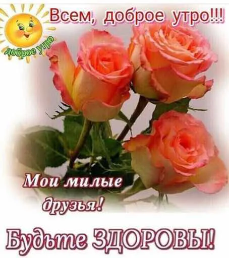 Стикер Toorne - 1