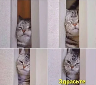 Sticker Toornene - 6