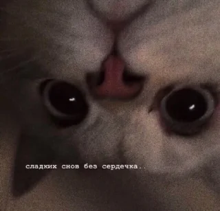 Sticker Toornene - 3