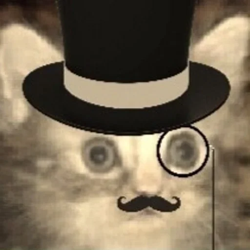 шляпа головной убор одежда