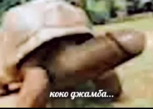 СМС Человек беспозвоночный