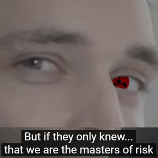 ladybug organ closeup