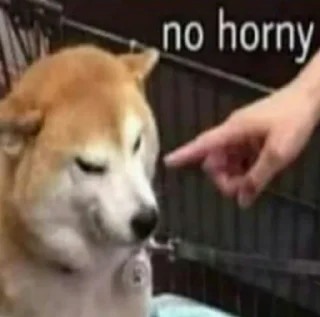 Стикер Хуйня какая-то - 11