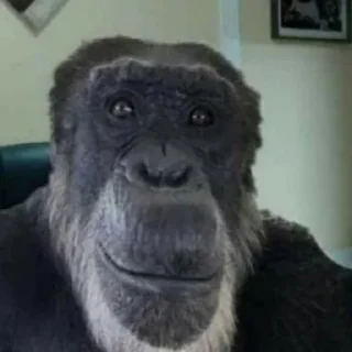 Стикер Хуйня какая-то - 0