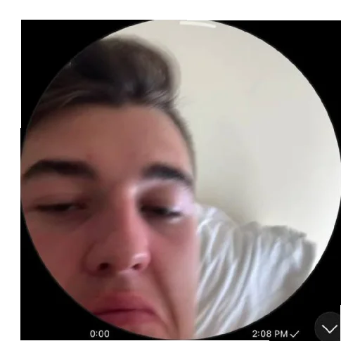 Sticker топалов и семья - 4