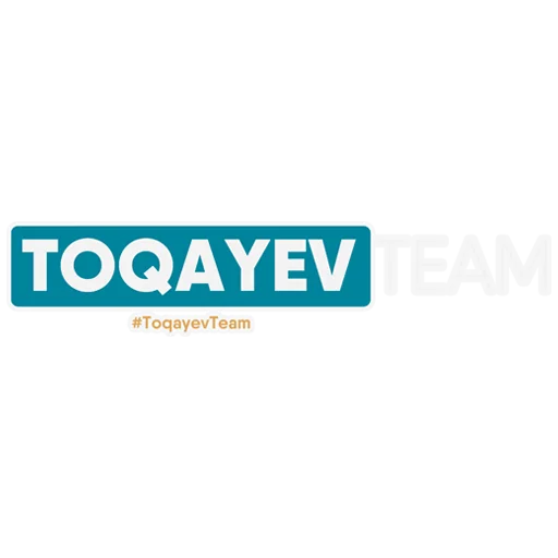 Стикер TOQAYEV TEAM - 9
