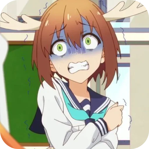 Sticker Torako_koshi - 1